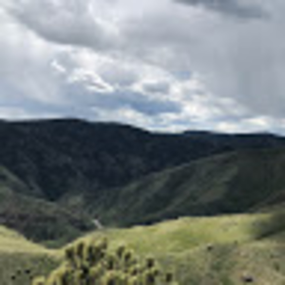 Meet your Posher, Rhea